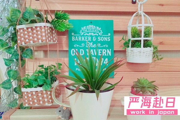 除了種類豐富的玩具之外，百元店也有適合成年人的時尚雜貨。在這些商店里，總有一些東西能引起您的興趣。