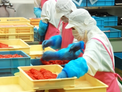 什么是日本技能實(shí)習(xí)生制度？