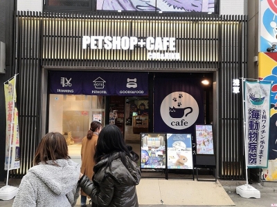 日本綠卡需要什么條件